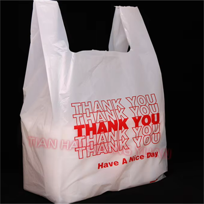 t shirt bag5